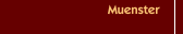 Muenster